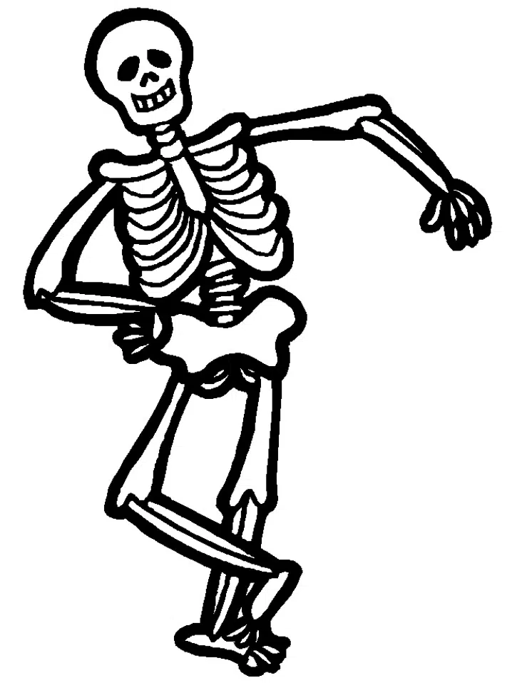 Skelett 09