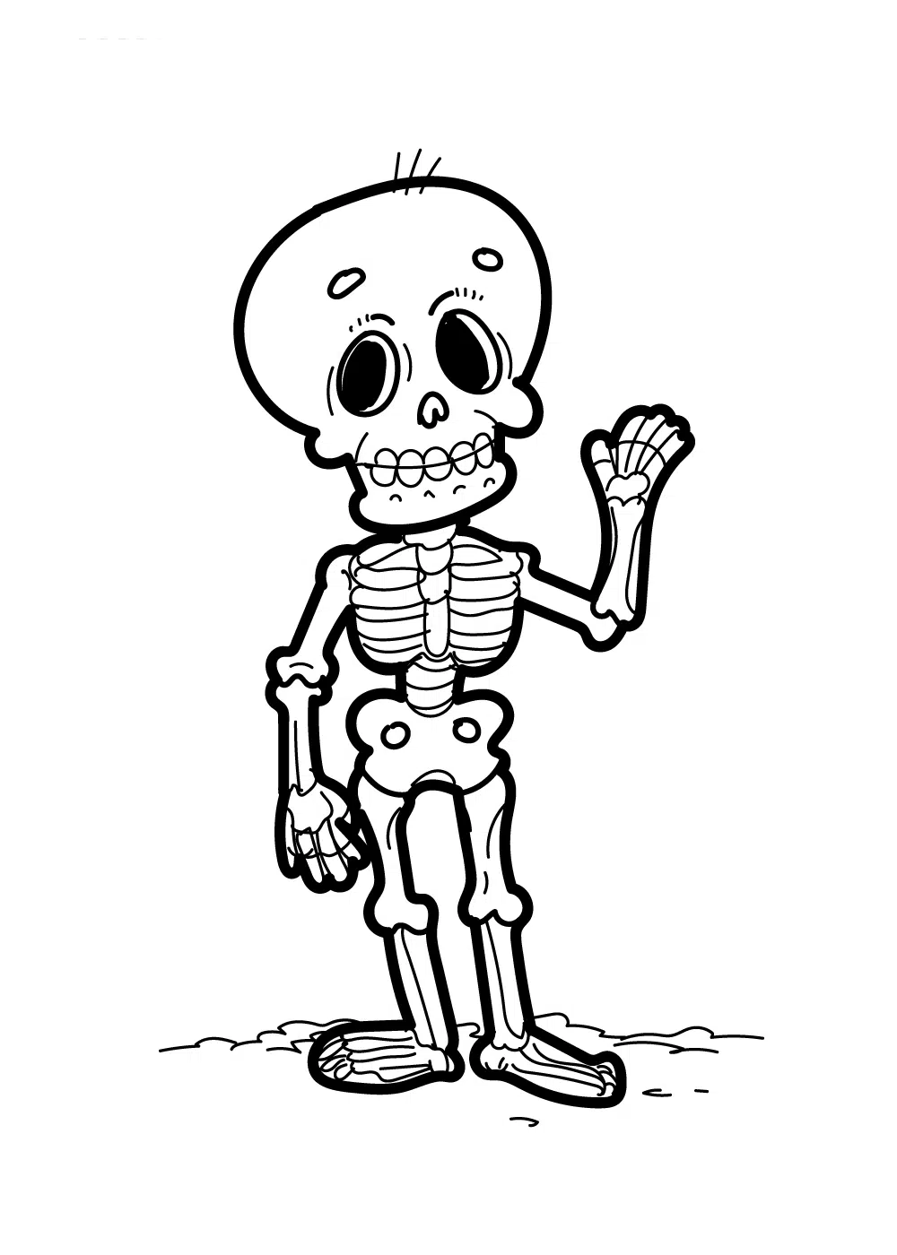 Skelett 15