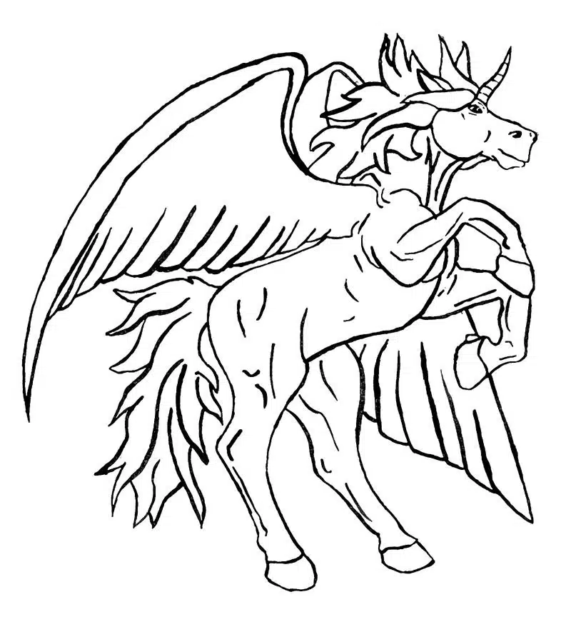 Pegasus 12