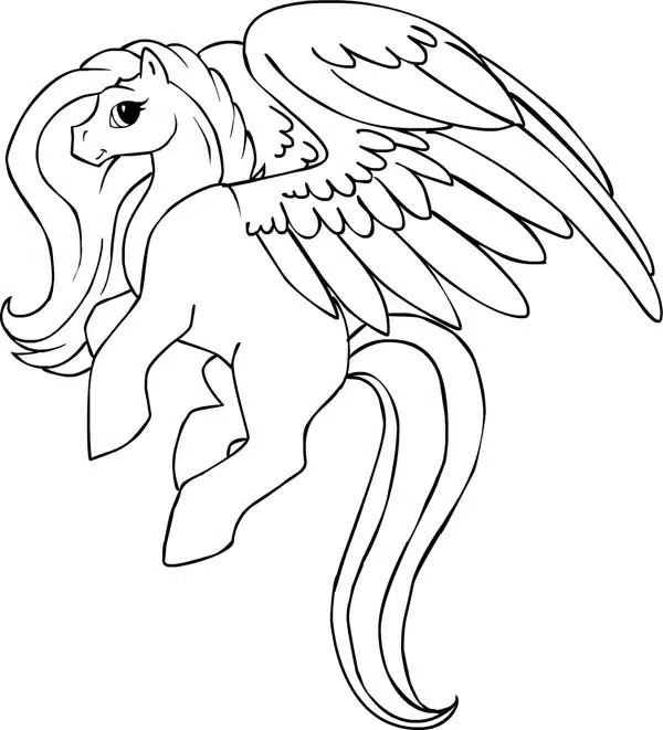 Pegasus 14