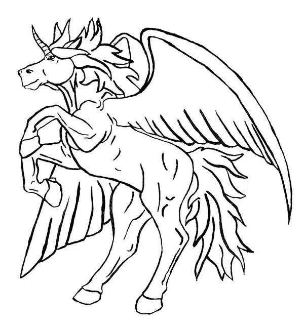 Pegasus 16