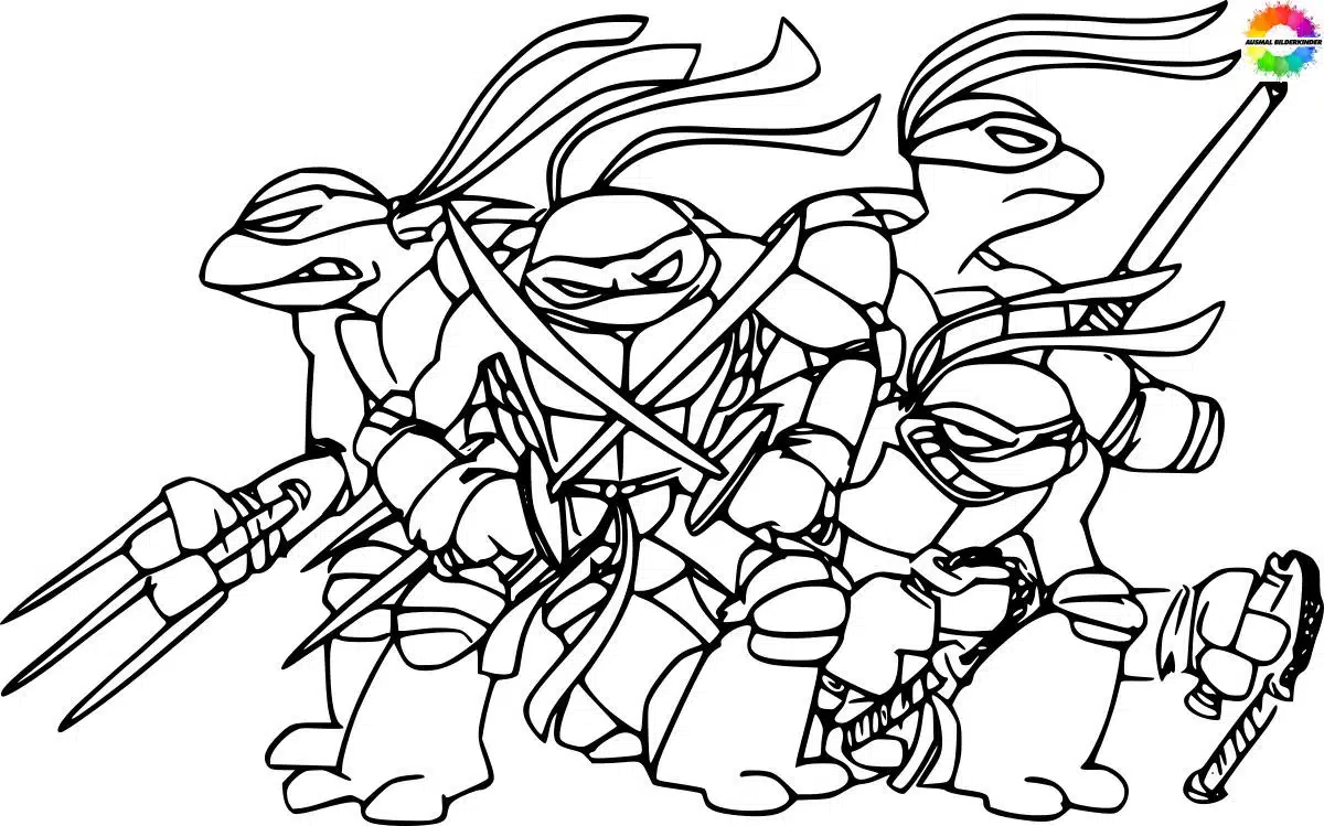 Ninja Turtles 24
