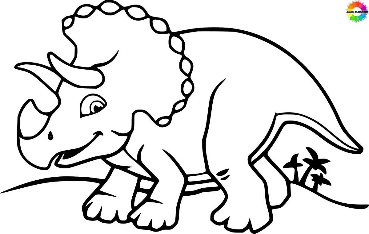 Triceratops 13