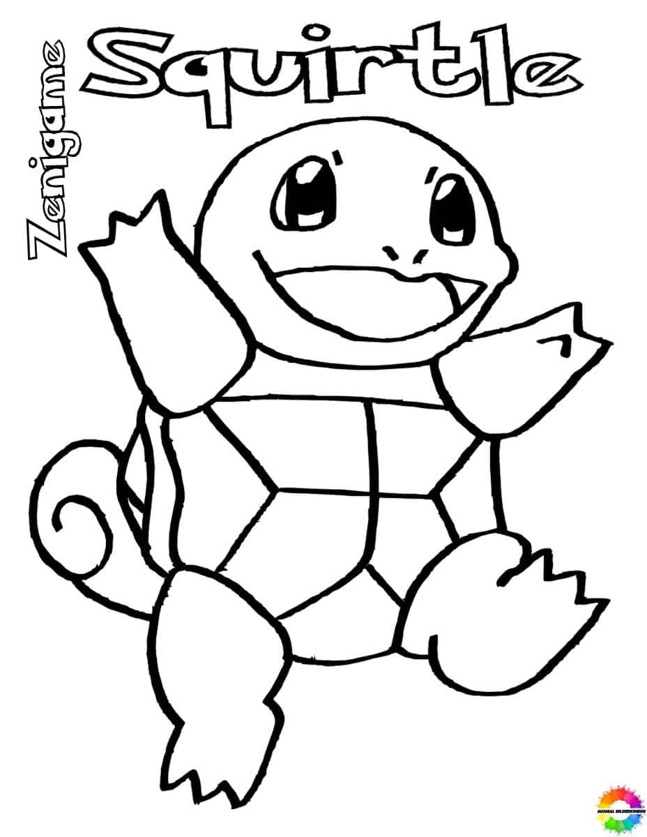 Squirtle 05
