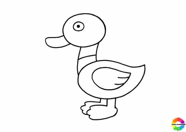 Ente zeichnen einfach - Schritt 6