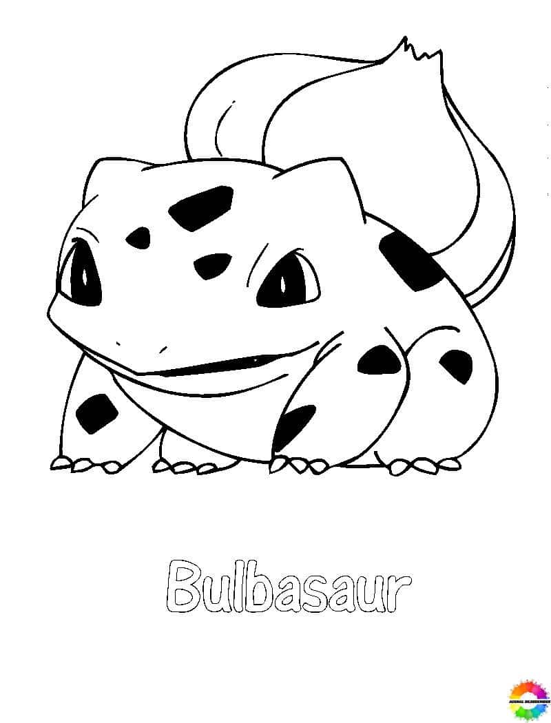 Bulbasaur 18