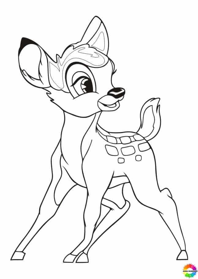 Bambi 28