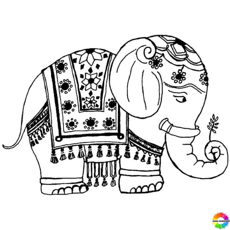 Elefant 03