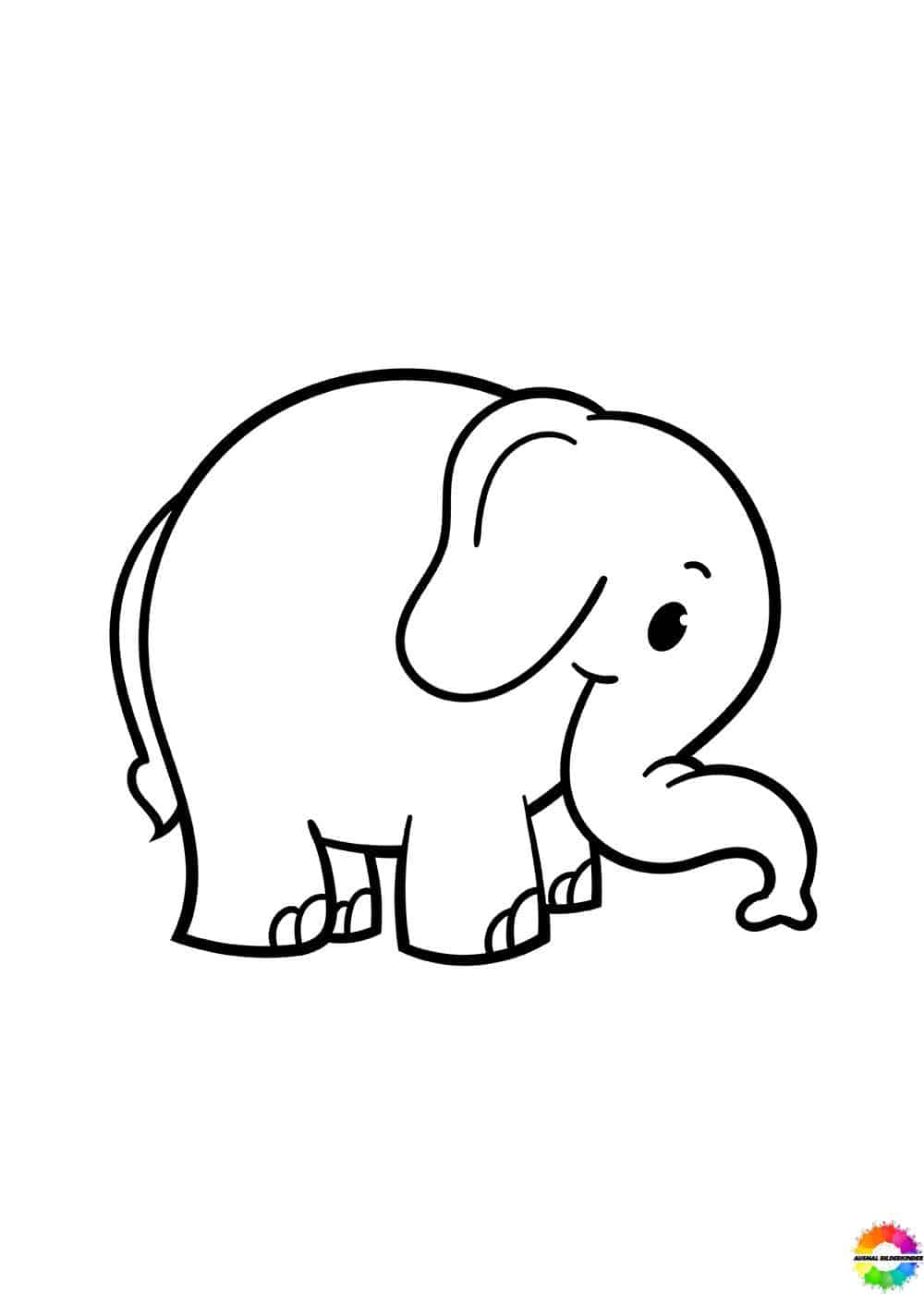 Elefant 07