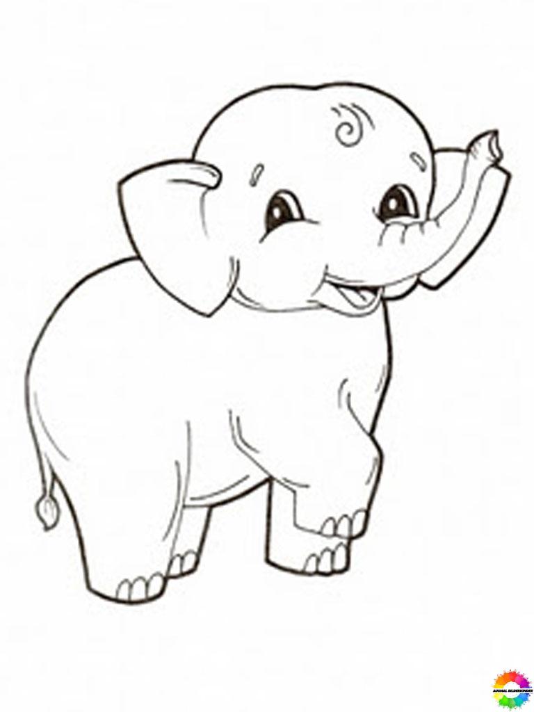 Elefant 14
