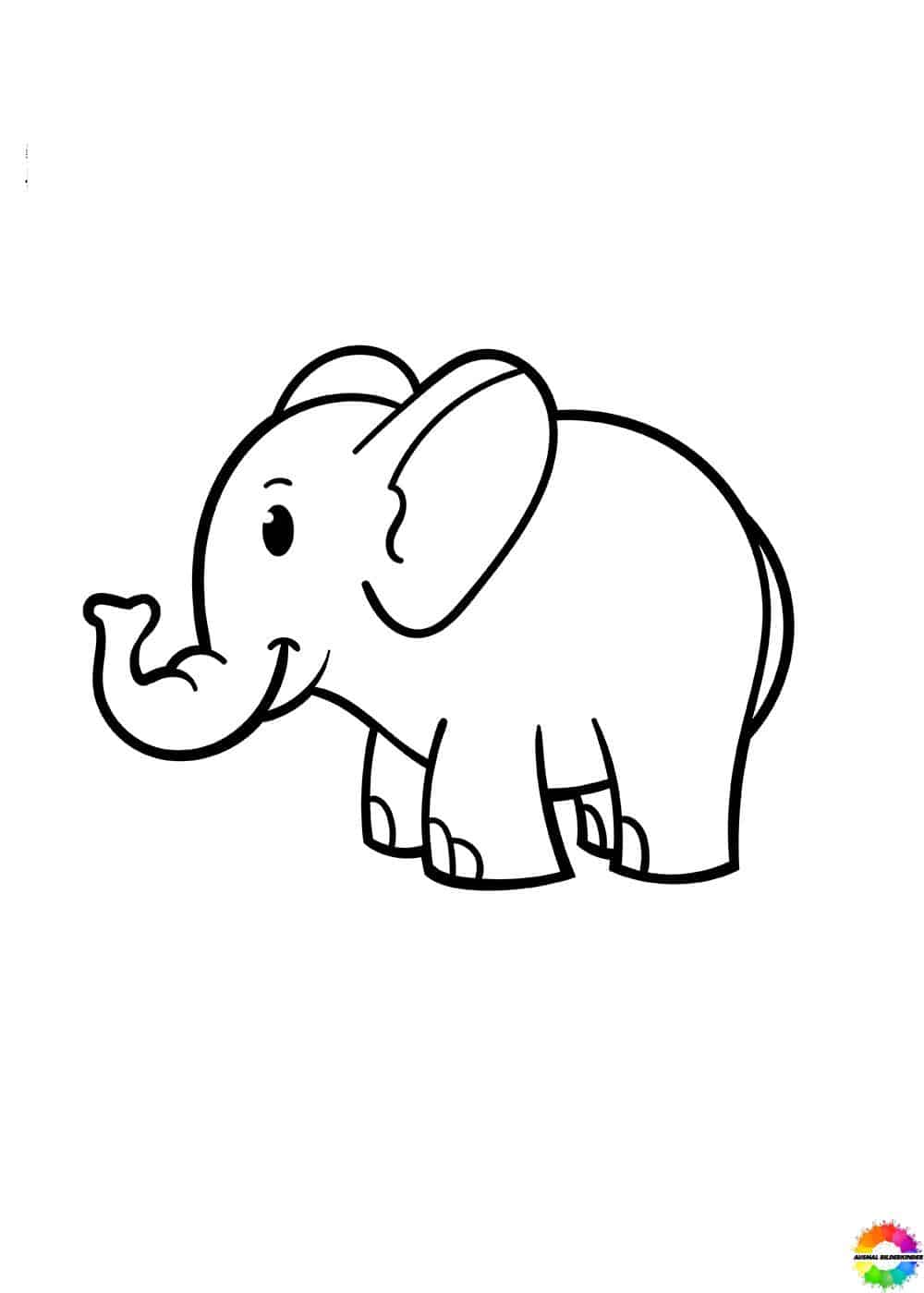 Elefant 23