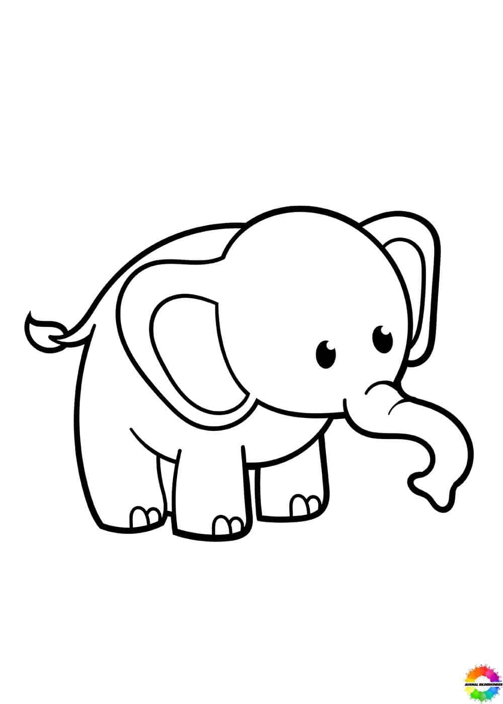 Elefant 30