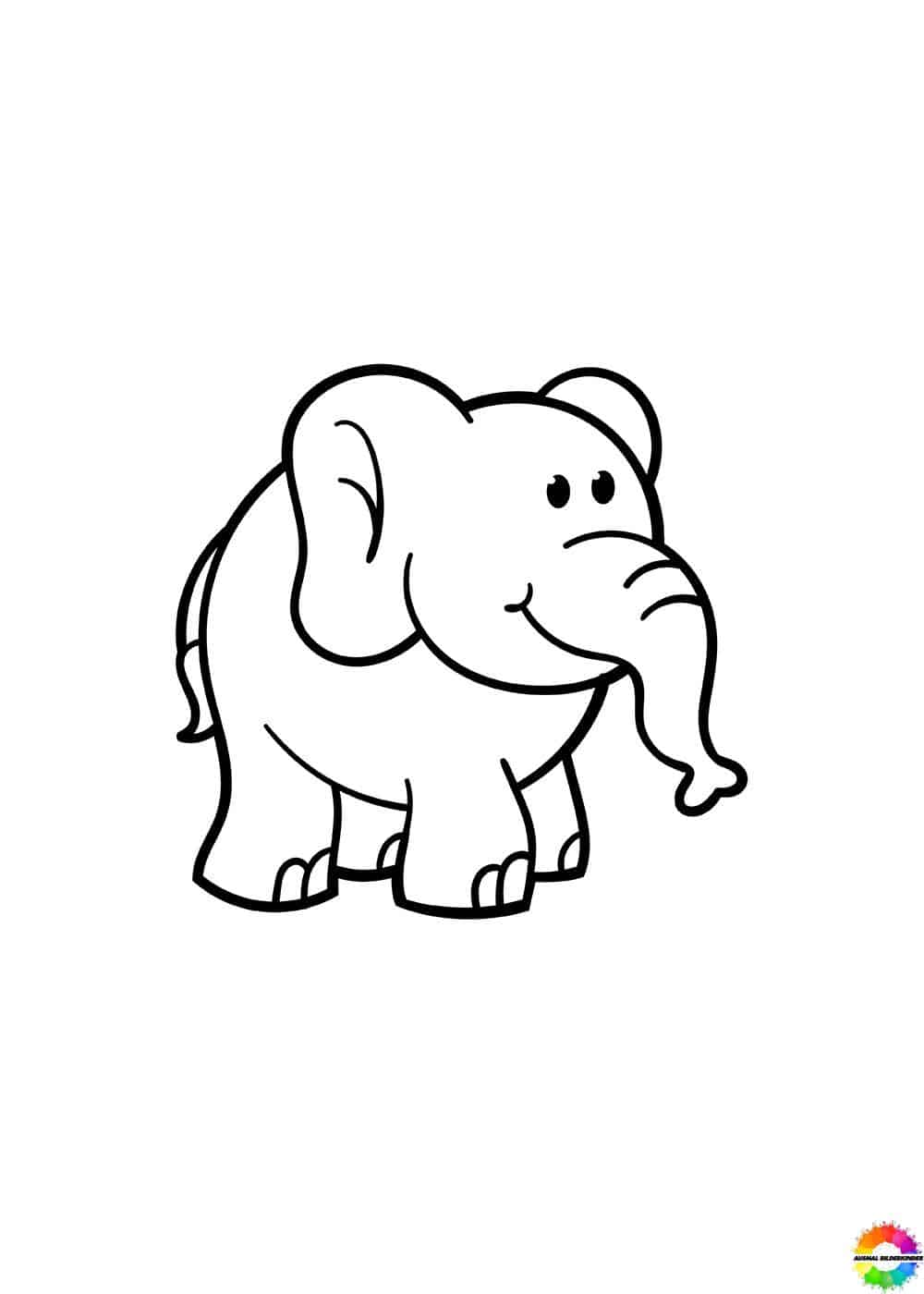 Elefant 36
