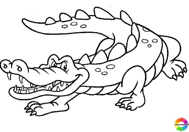 Krokodil 16