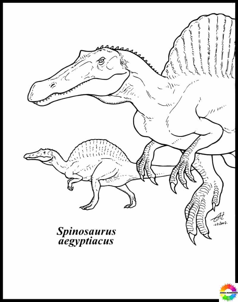 Spinosaurus 11