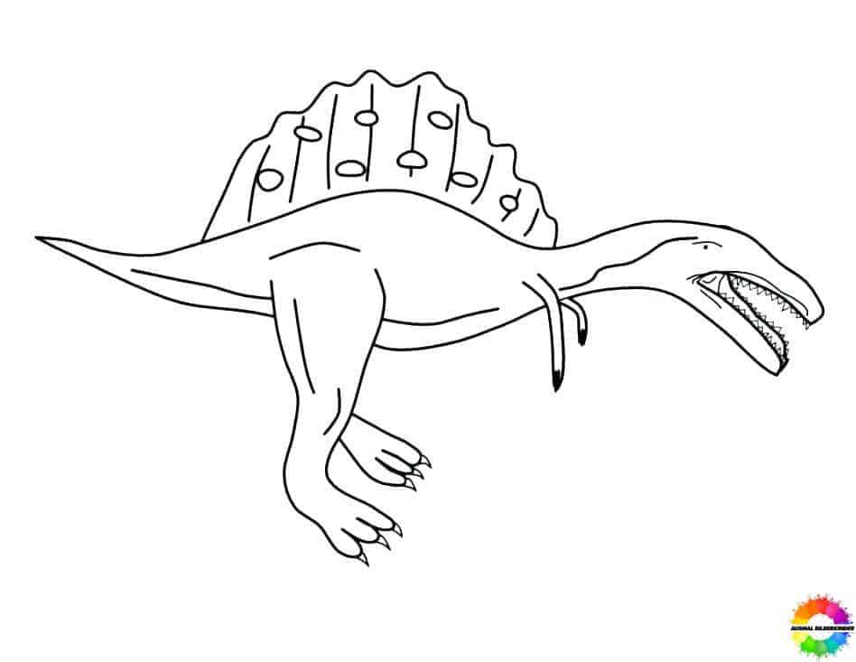 Spinosaurus 19