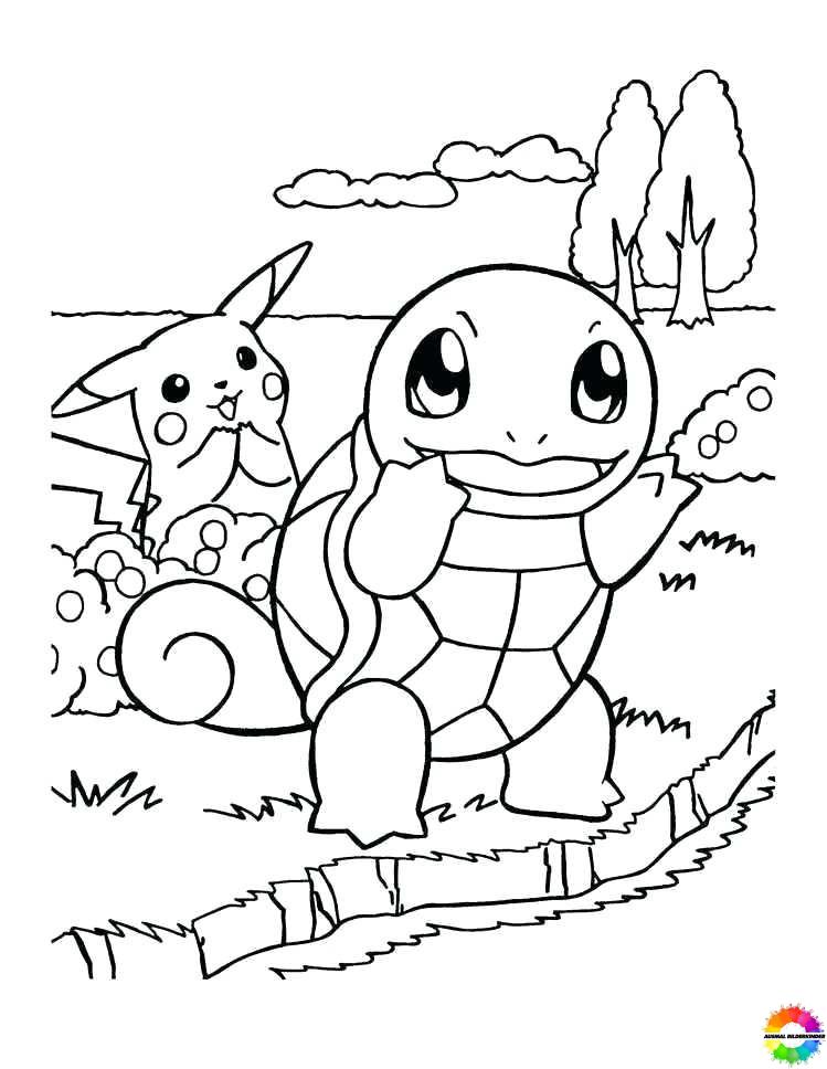 Squirtle 07