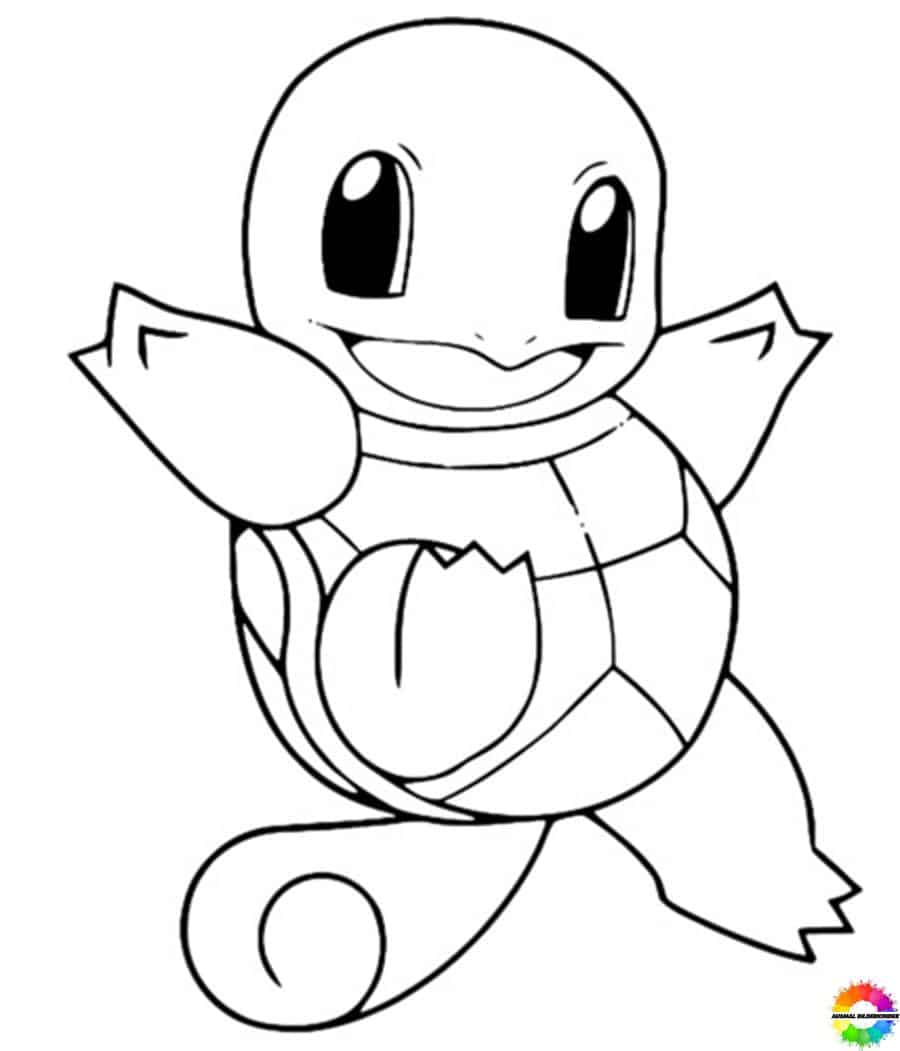 Squirtle 20