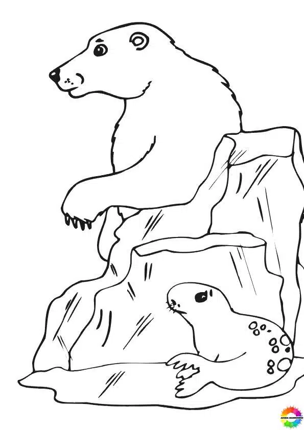 Eisbären 16