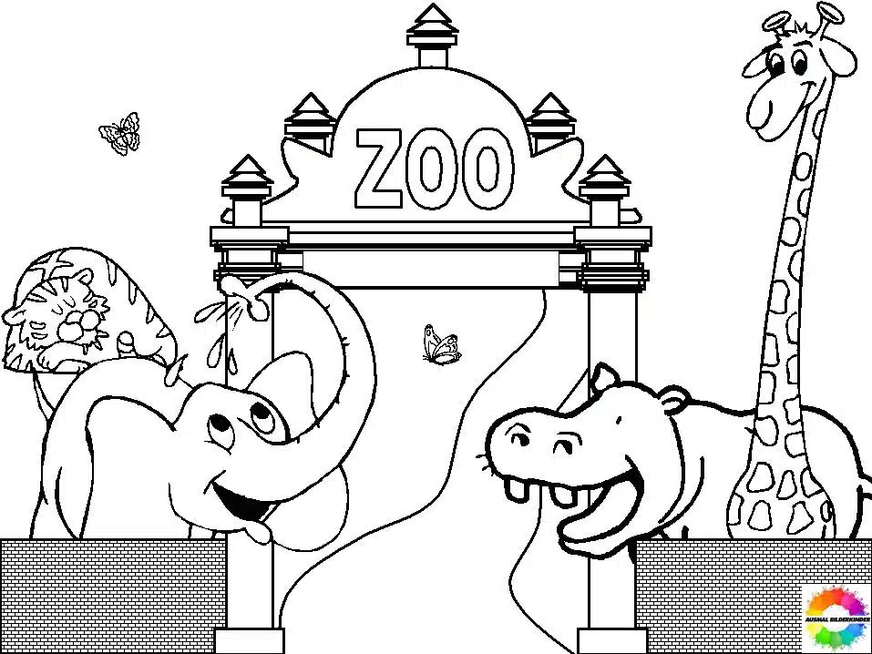 Zoo 04