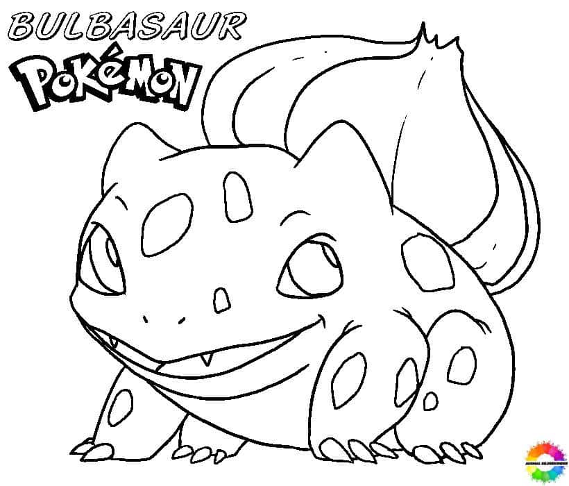 Bulbasaur 28