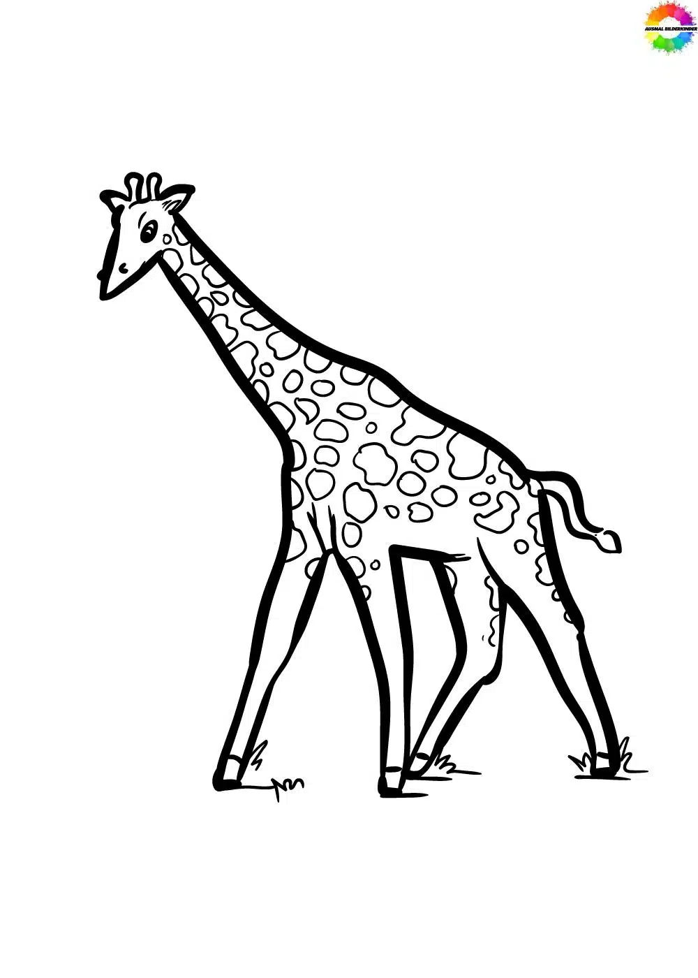 Giraffe 21