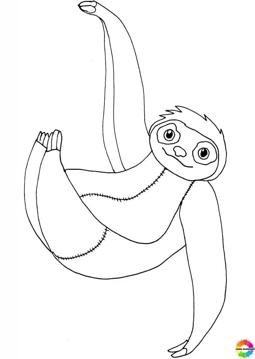 Sloth 07