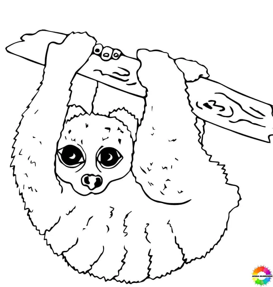 Sloth 09