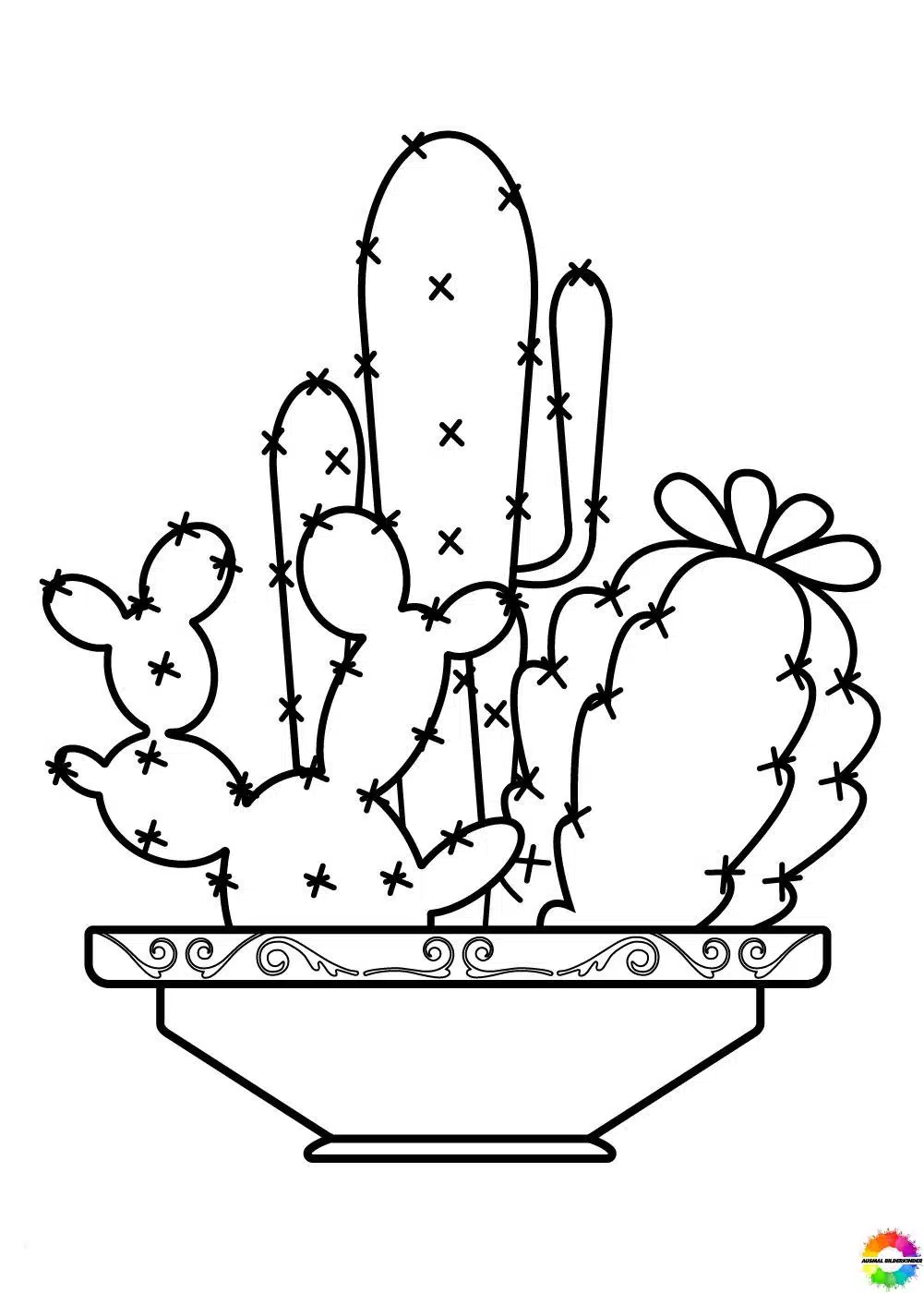 Kaktus 16