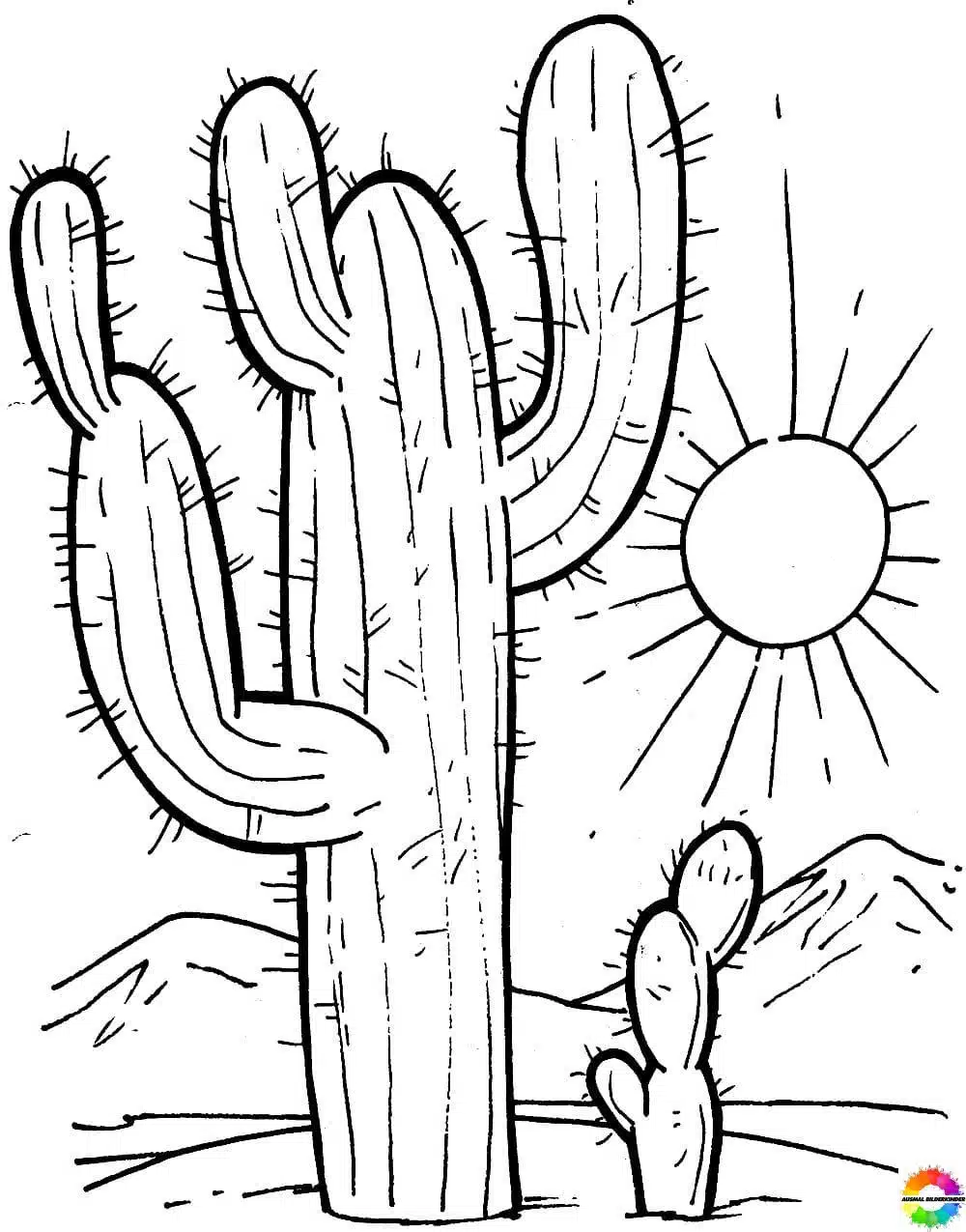 Kaktus 33