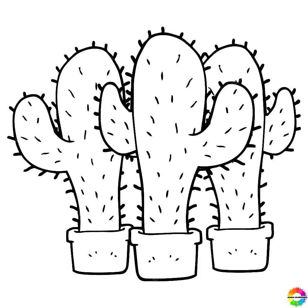 Kaktus 39