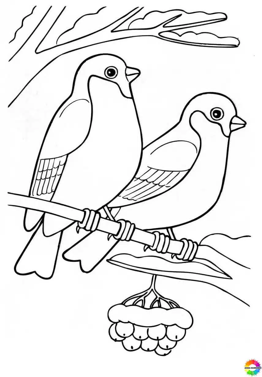 Bird coloring pages for kids to download - All free