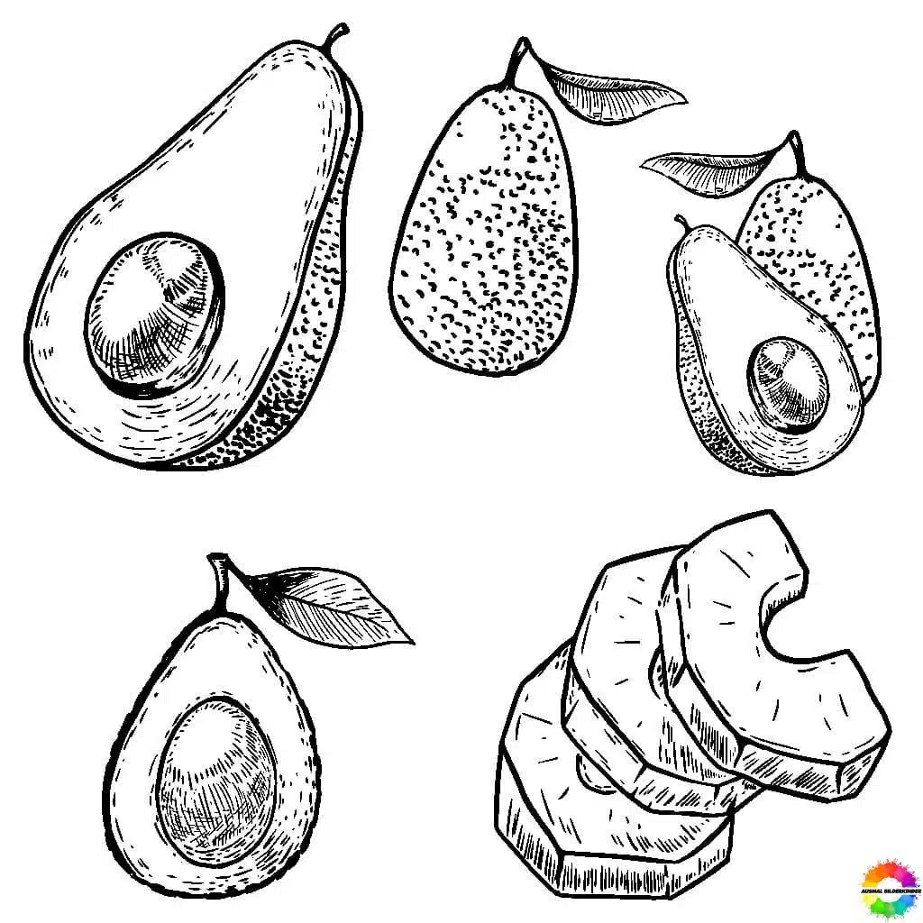 Avocado 20