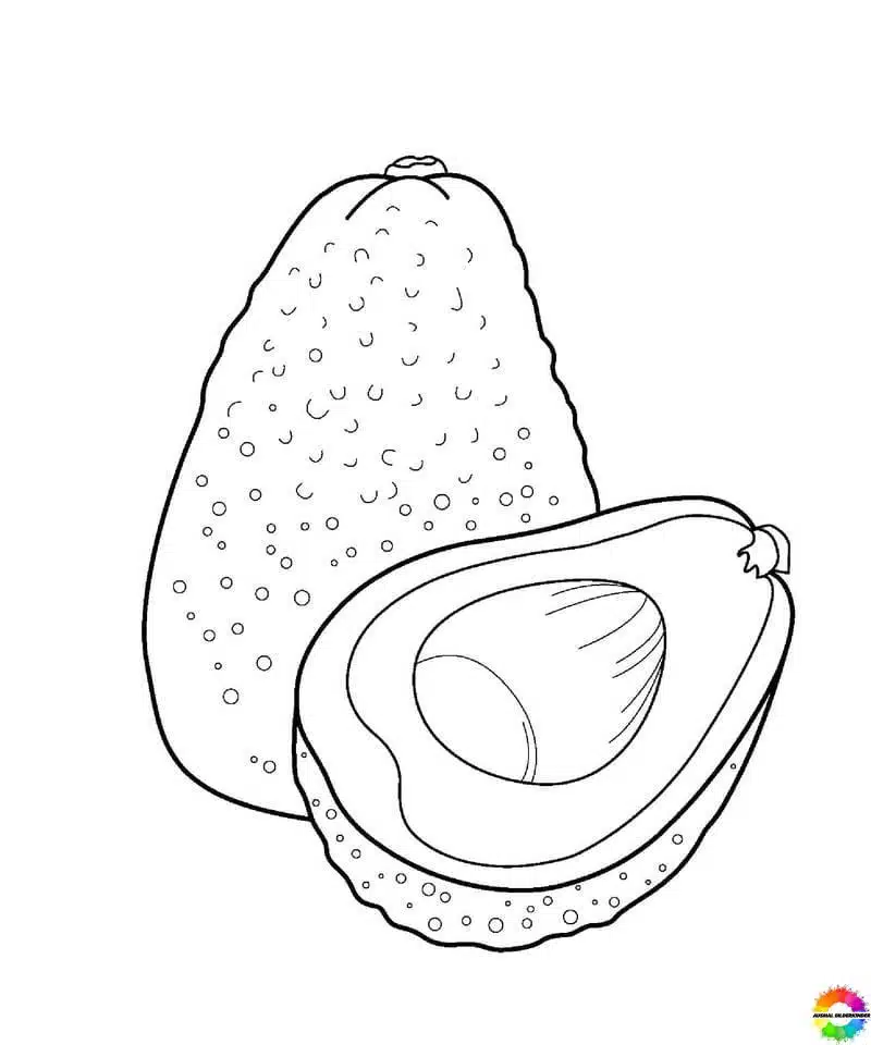 Avocado 22