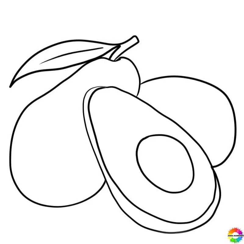 Avocado 34