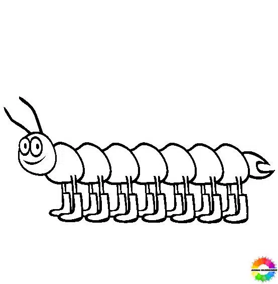 Insekten 1
