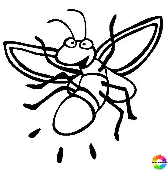 Insekten 15