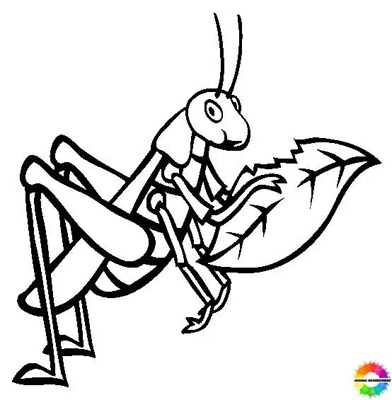 Insekten 18