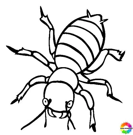 Insekten 26
