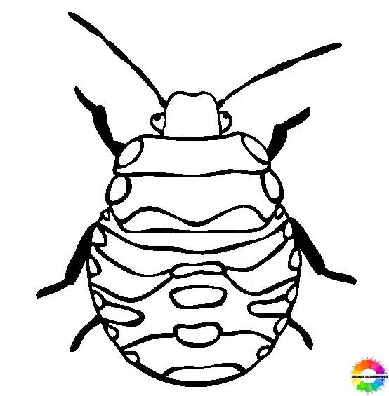 Insekten 35