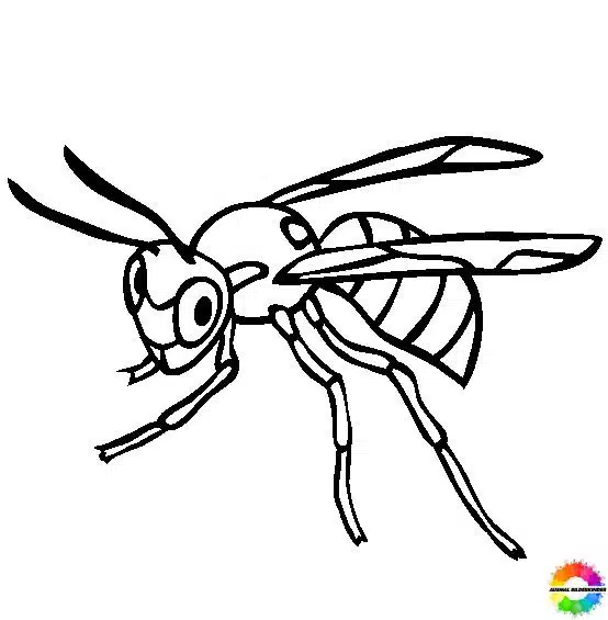 Insekten 38