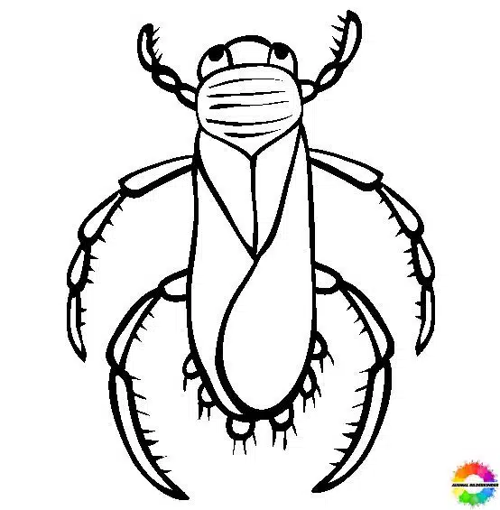 Insekten 39