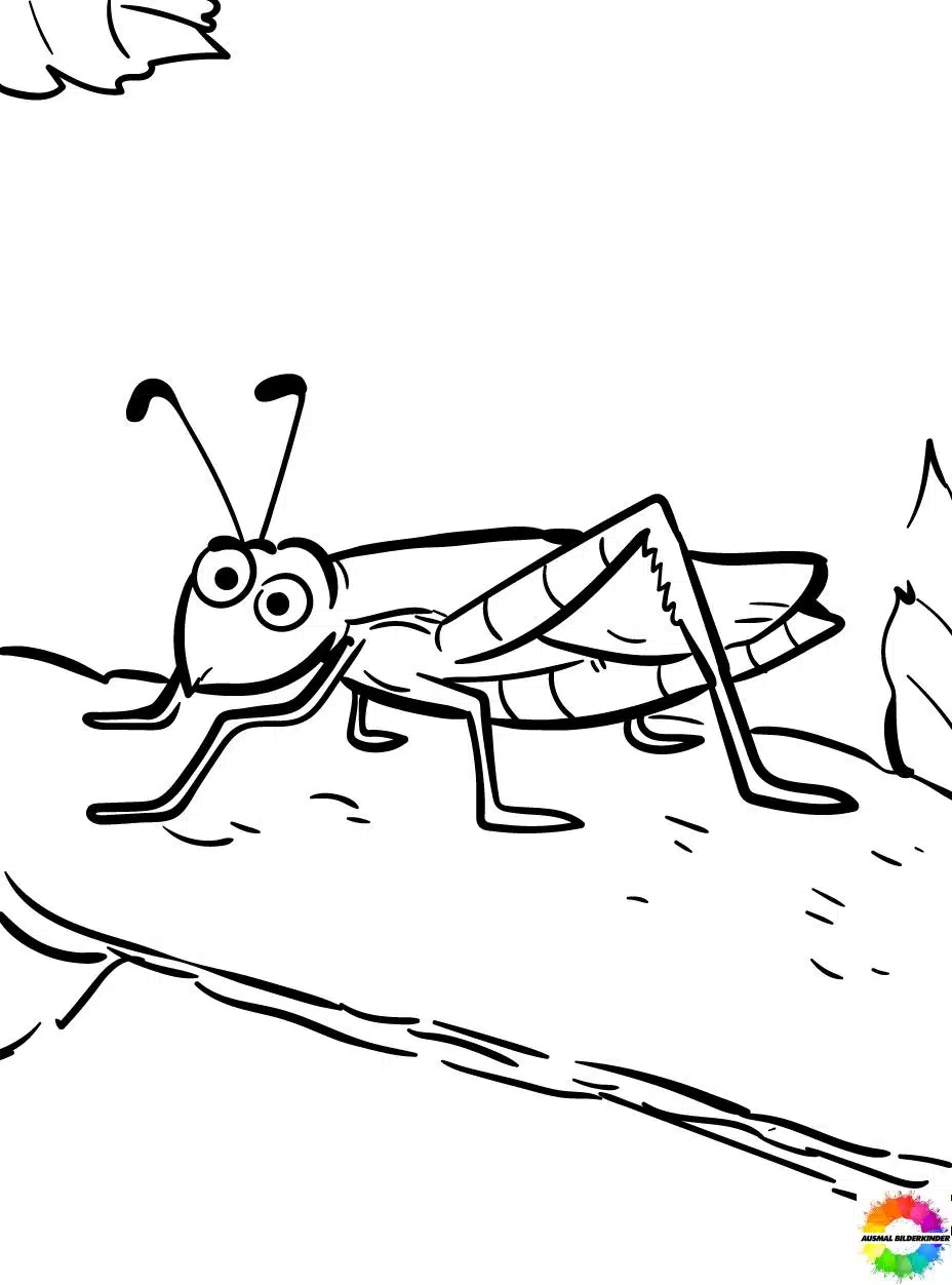 Insekten 8