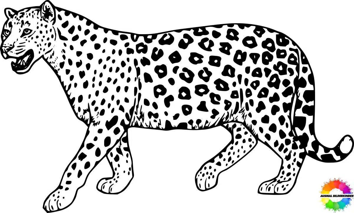 Jaguar 07