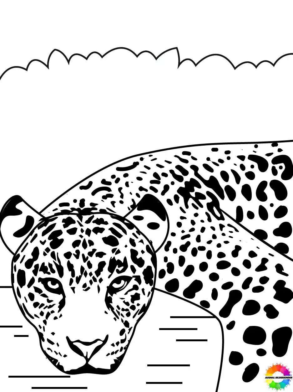 Jaguar 23