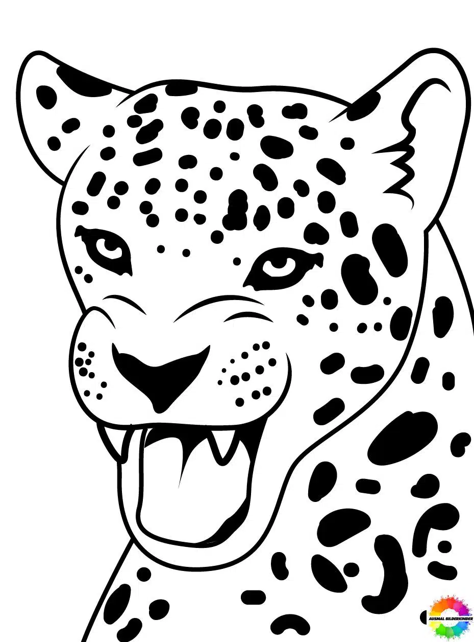Jaguar 29
