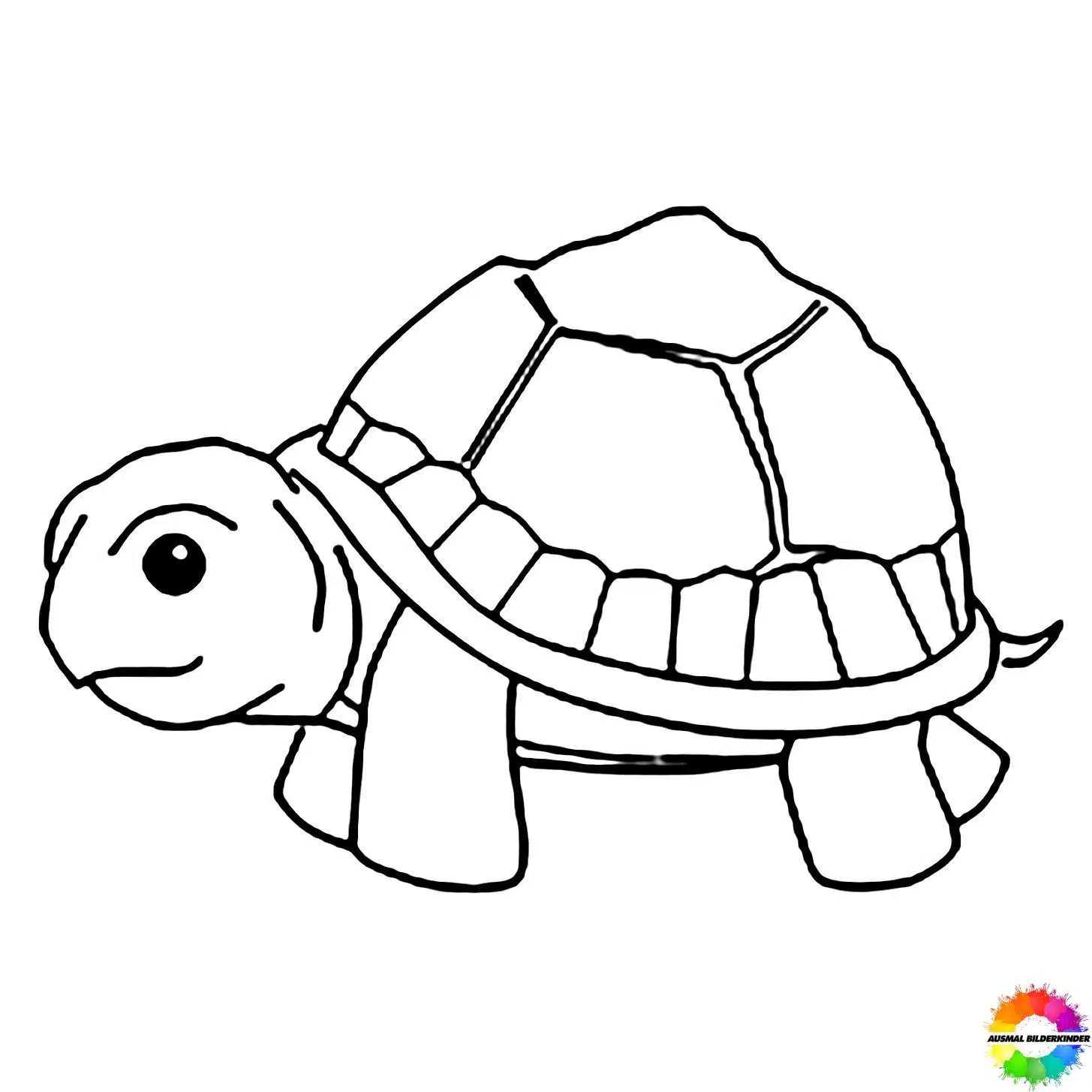 Schildkröte 10
