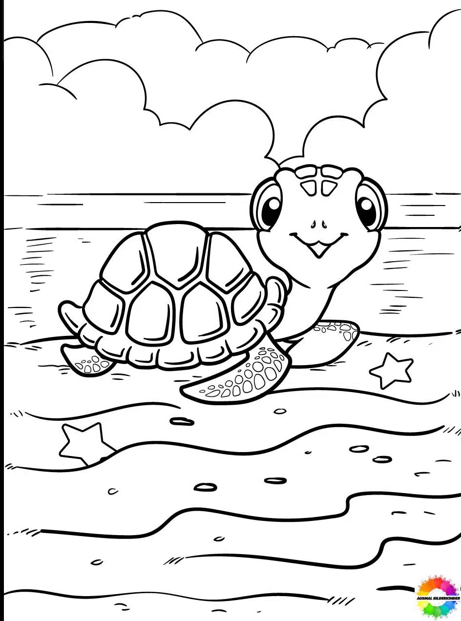 Schildkröte 13