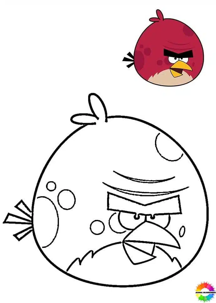 Angry Birds 18