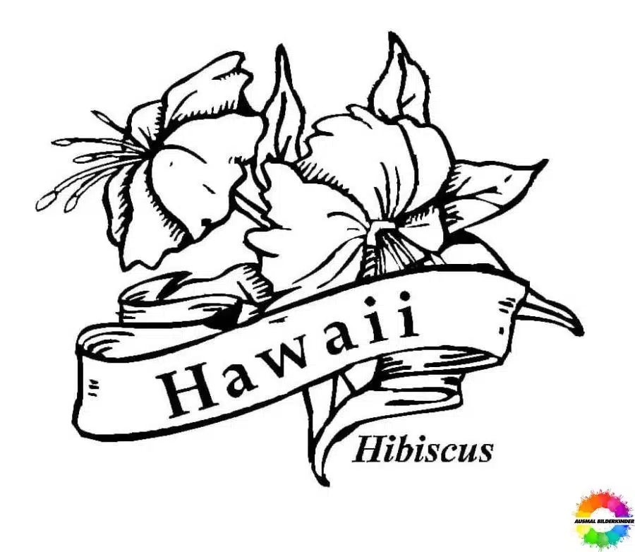 Hawaii 16